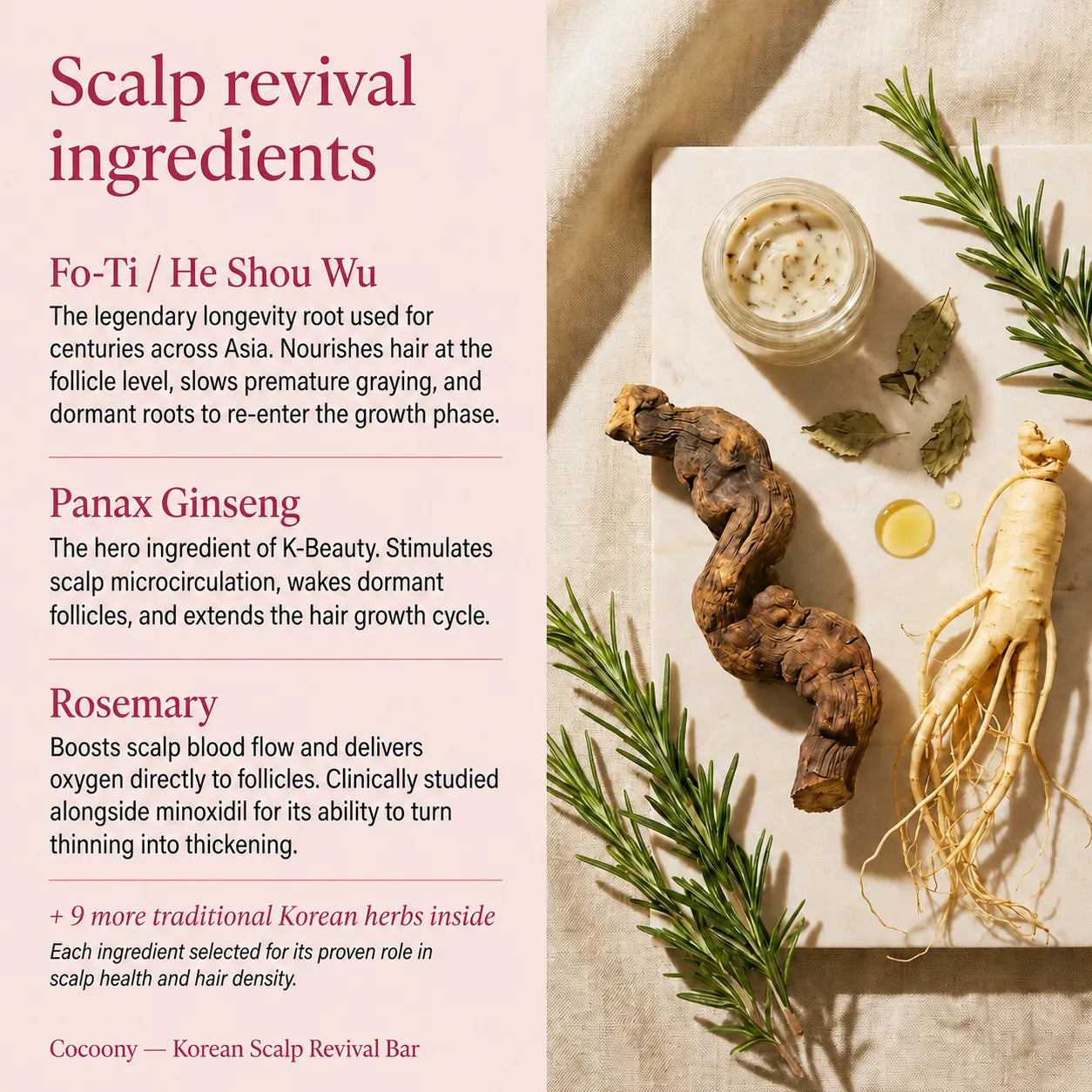 Korean Scalp Revival Bar